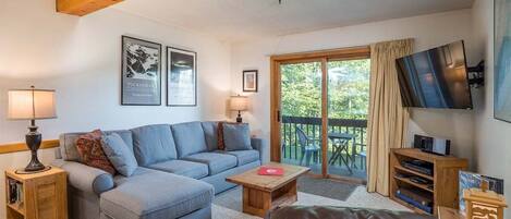 TV, fireplace, DVD player