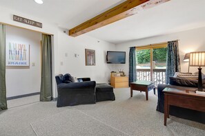 TV, fireplace, DVD player