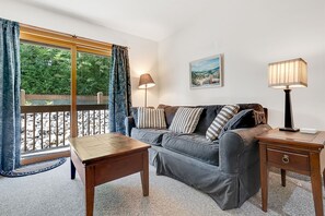 Televisión, chimenea y reproductor de DVD 