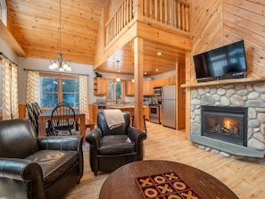 TV, fireplace, DVD player