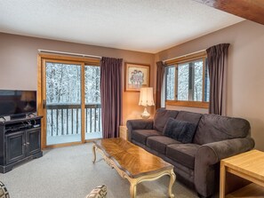 TV, fireplace, video games, DVD player