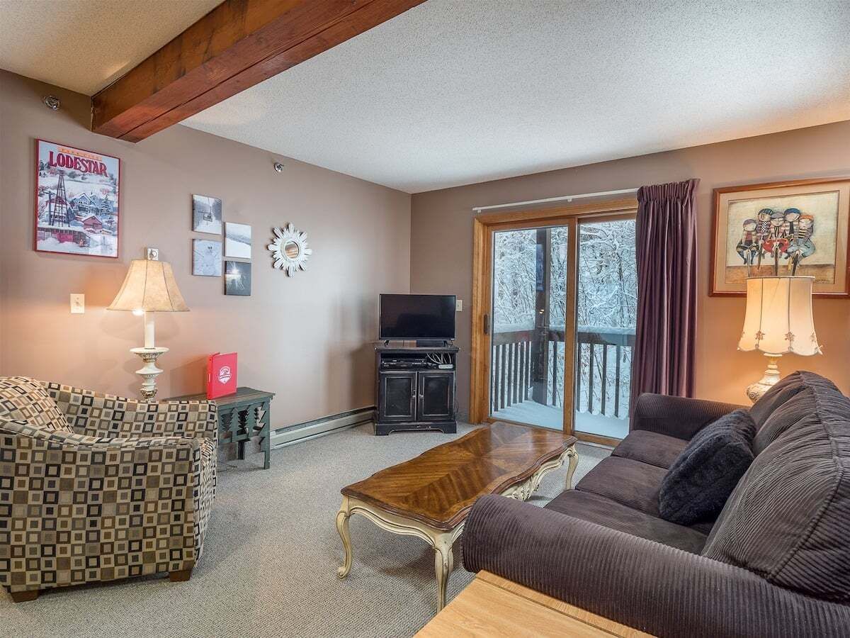 TV, fireplace, video games, DVD player