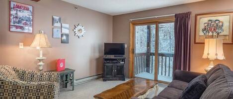 TV, fireplace, video games, DVD player