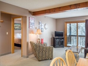 TV, fireplace, video games, DVD player