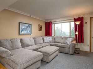 Televisión, chimenea, reproductor de DVD