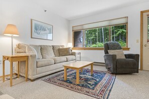 TV, fireplace, DVD player