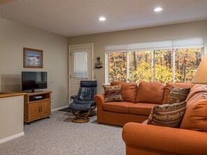 TV, fireplace, DVD player