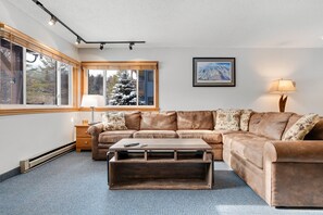 TV, fireplace, DVD player