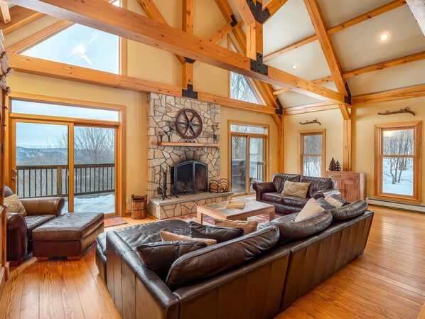 TV, fireplace, video games, DVD player