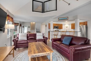 Televisión, chimenea y reproductor de DVD