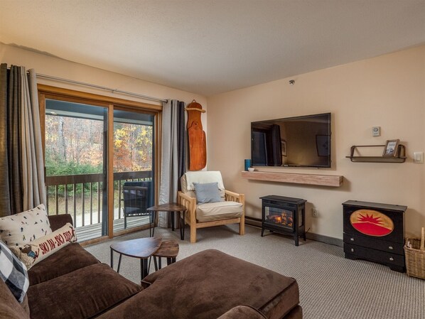 TV, fireplace, DVD player