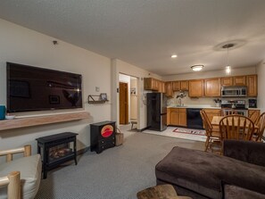 Televisión, chimenea y reproductor de DVD 