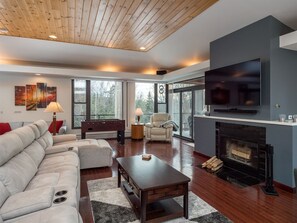 TV, fireplace, video games