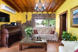 Una Smart TV, una chimenea, un reproductor de DVD, libros