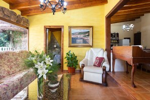 Una Smart TV, una chimenea, un reproductor de DVD, libros