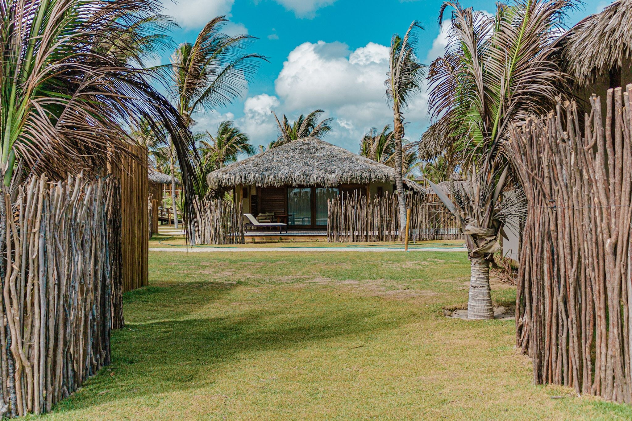 A thatched-roof hut with a bench in front, surrounded by palm trees and a grassy area.