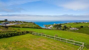 A coastal landscape with green fields, a wooden fence, and a view of the sea.