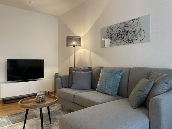 Smart TV, Netflix, books, streaming services - Description (Renningen)