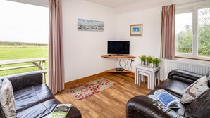 Una sala de estar con televisor, dos sofás de cuero, una mesita con plantas y vistas a un campo verde a través de amplios ventanales.