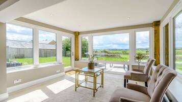 TV, fireplace, books