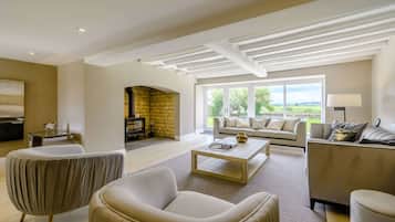 TV, fireplace, books