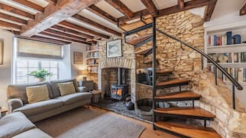 TV, fireplace, books