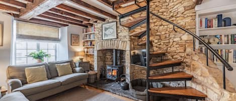 Televisión, chimenea y libros