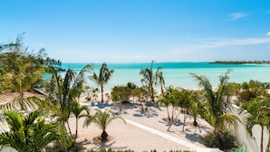 A beach with palm trees and a clear blue sky. - SulMare at Taylor Bay Luxury Villas (Providenciales)