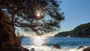 A rocky shoreline with waves crashing against the rocks, a clear sky, and a tree in the foreground. - T2 recent, air-conditioned, Ideal 50 m from the beach with its private parking space! (Saint-Cyr-sur-Mer)