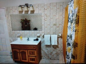 Combined shower/bathtub, hair dryer, towels, soap