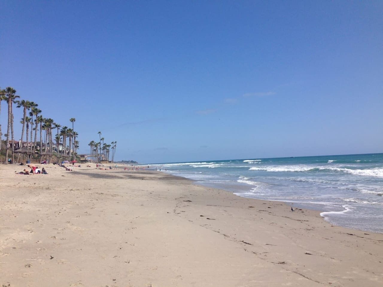 A beach with palm trees and a clear sky.