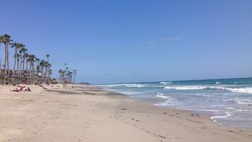 A beach with palm trees and a clear sky.
