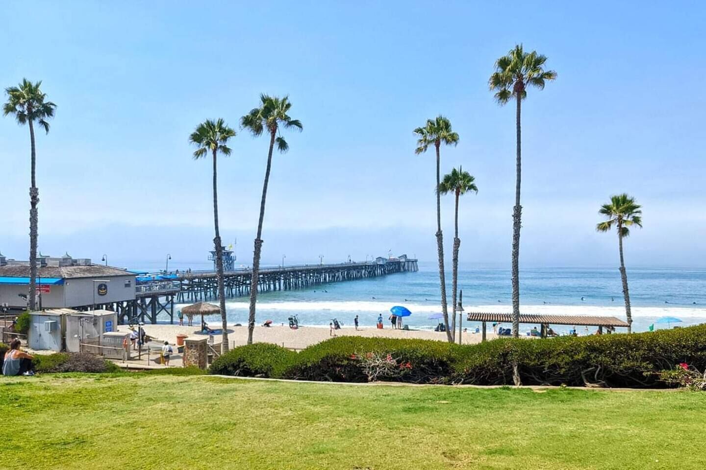 A beach with palm trees, a pier, and a grassy area.