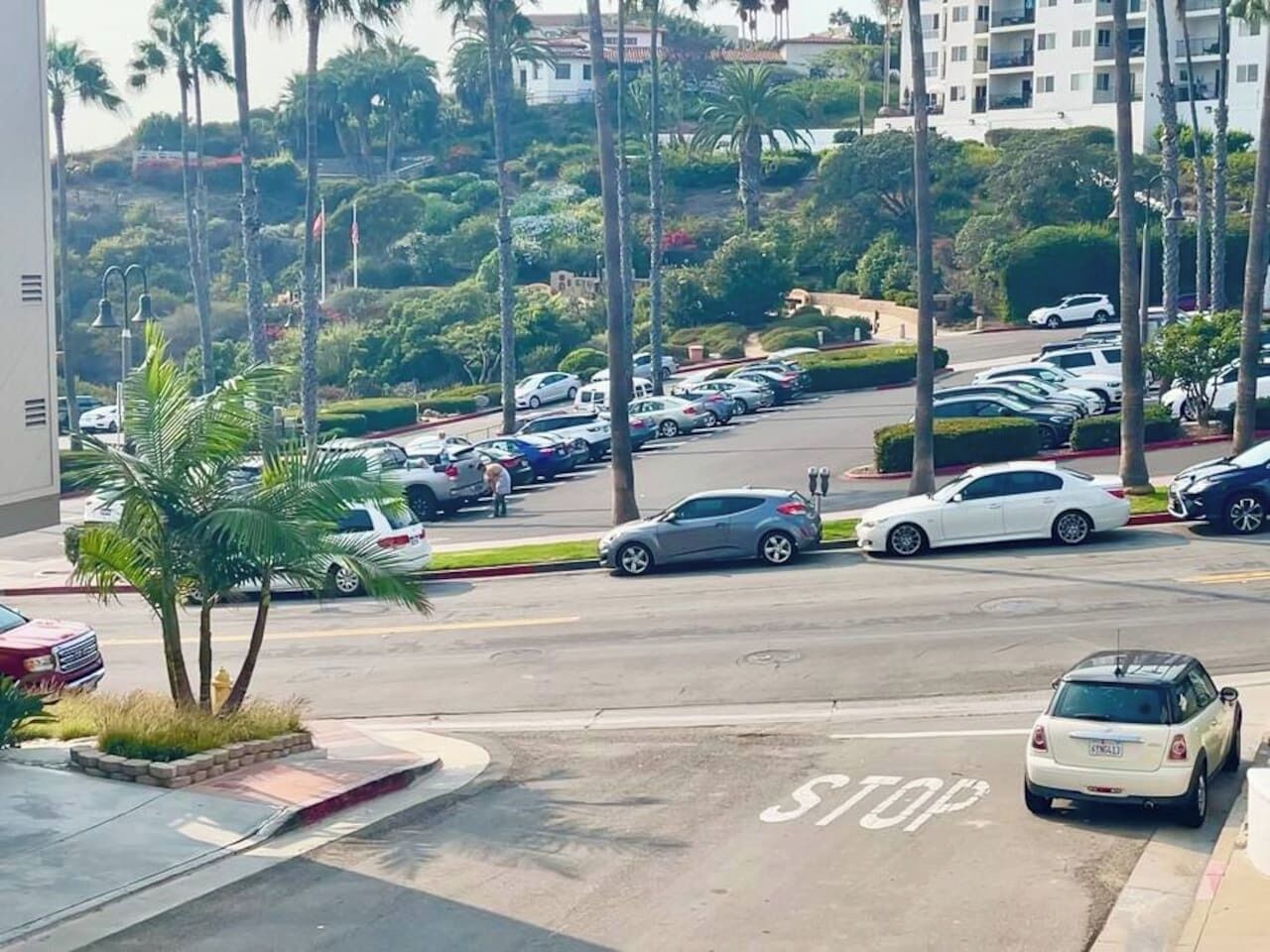 Un estacionamiento con varios autos, una señal de STOP y palmeras.