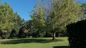 Un parc doté d’une pelouse bien entretenue, de grands arbres et d’une haie.