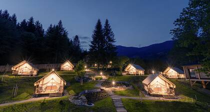 Luxury tent Safari for 4 people