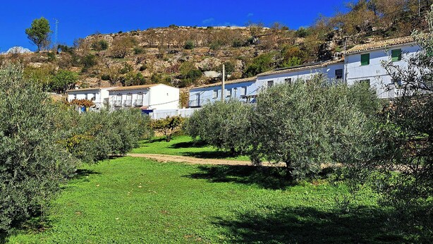 A hillside with olive trees and white buildings with red-tiled roofs. - Rural house with patio and garden (Alcalá la Real)