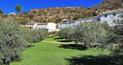 Rural house with patio and garden