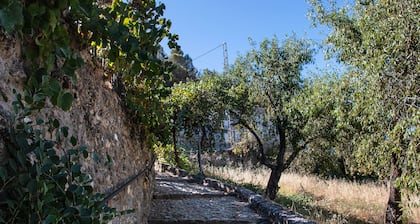 Rural house with patio and garden