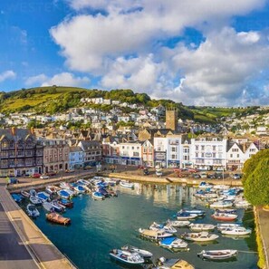 Marina - The Nautical Nest in the heart of Dartmouth (Dartmouth)