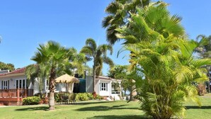 Un quartier résidentiel avec une maison, une pelouse et plusieurs palmiers.
