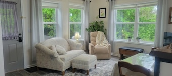 Mountaintop suite, mountain views, one level, King bed, pet friendly, accessible