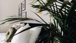 Un lit bien fait, avec une literie blanche et un coussin vert en guise d’élément décoratif, un mur orné de tableaux encadrés et une plante en pot aux longues feuilles vertes.