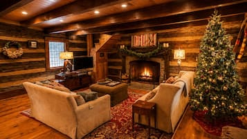 Smart TV, fireplace, books