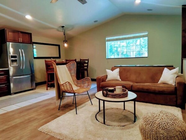 Smart TV, fireplace, DVD player, books