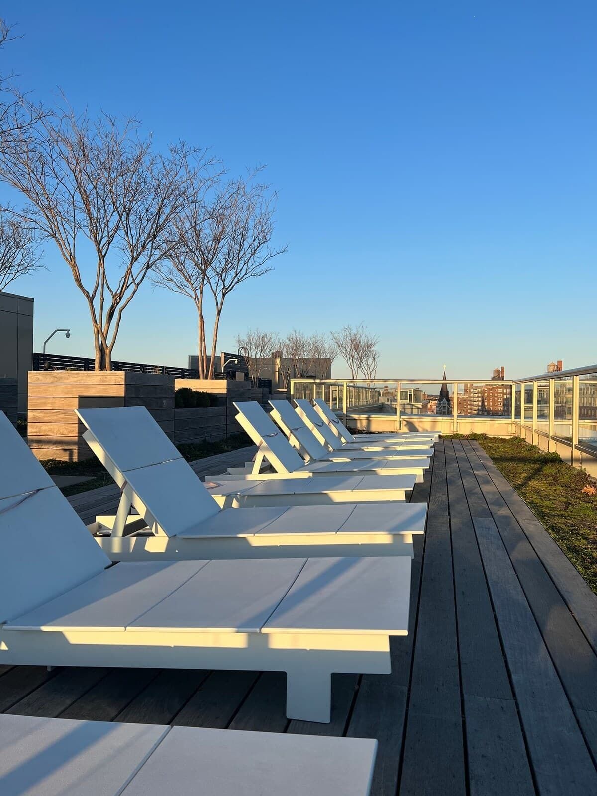 テラス / パティオ