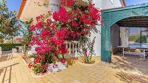 A courtyard with a white wall, red bougainvillea, and a table tennis table.