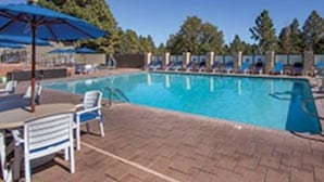 A swimming pool with lounge chairs and umbrellas, surrounded by trees.