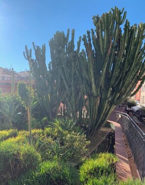 Property grounds - Beautiful Apartment in Cannes Croisette, France (Cannes)