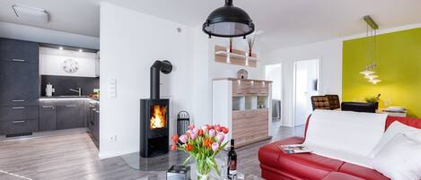 Télévision, cheminée, jeux vidéo, chaîne hi-fi